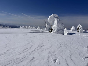 640282141_1555225323278345_39395335