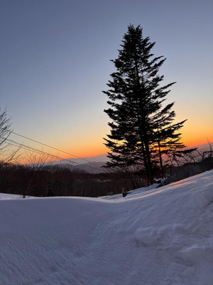 640437390_1555225293278348_13249609