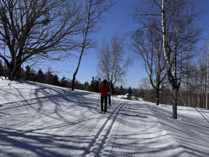 639712780_1556185069849037_87431379 639712780_1556185069849037_87431379