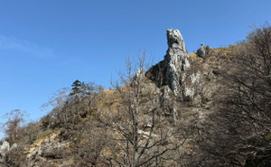 645808755_1564872838980260_84721654