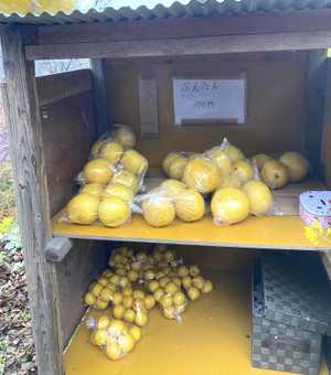 643455765_1562629939204550_20968619