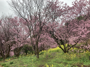 644278502_1562630032537874_26047514