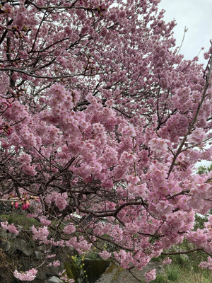 644304587_1562630325871178_77511864