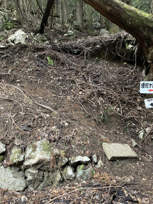 644454730_1562630265871184_99639739