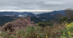 644457796_1562630235871187_72327702