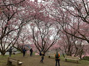 644472156_1562630159204528_54046960