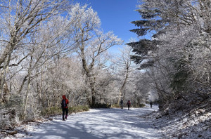 648837566_1573393341461543_86616704