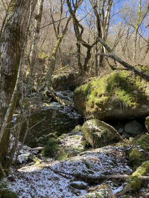 648888826_1573393624794848_70936950