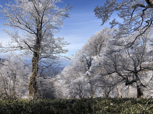 649178250_1573393401461537_92113923