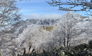 649259364_1573393231461554_22801578