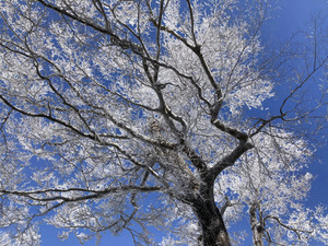 649273746_1573393214794889_35846712