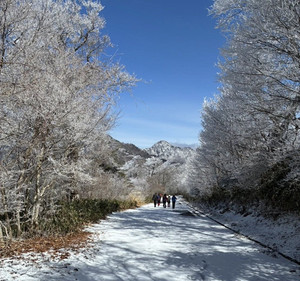 649387393_1573393208128223_50532037