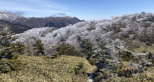 649548619_1573393244794886_36023704