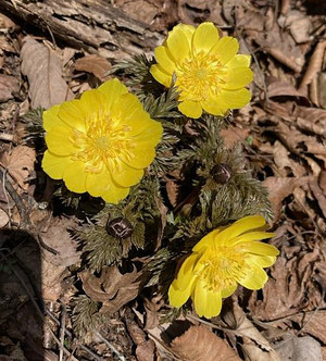 649333600_1577598561041021_70748820 649333600_1577598561041021_70748820