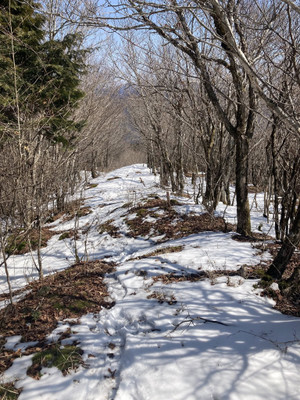 650406522_1577599887707555_51932097 650406522_1577599887707555_51932097