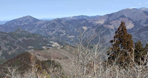 650559591_1577600157707528_72249941 650559591_1577600157707528_72249941