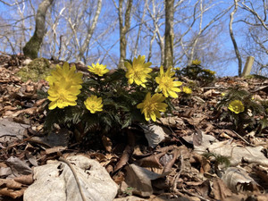 650711135_1577600031040874_21181834 650711135_1577600031040874_21181834