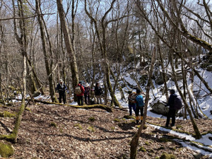 650738528_1577600094374201_120829_2 650738528_1577600094374201_120829_2