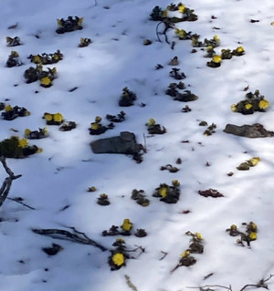 651060075_1577600167707527_71840366 651060075_1577600167707527_71840366