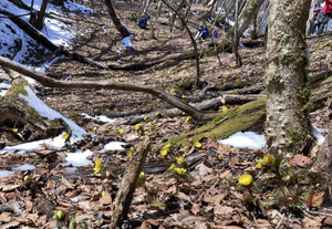 651150989_1577599784374232_32354090 651150989_1577599784374232_32354090