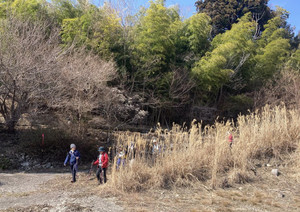 651779284_1577600137707530_61285444 651779284_1577600137707530_61285444