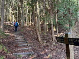 652093380_1581935583940652_77153542