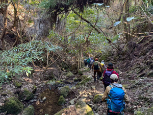 652219135_1581935497273994_54795303