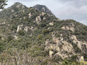 655832001_1589163266551217_71435745