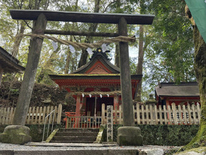 652710196_1585379780262899_69603917