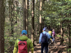 653701878_1585380033596207_66489550