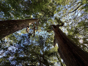 653704657_1586513363482874_568849_2