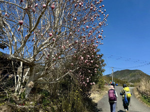 653833577_1586513193482891_18198382