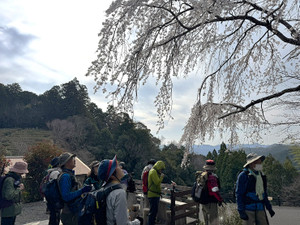 Kghgkojxkk220zv6bfwcea0xwnwixuclj_2