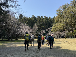 Tokhcrzmbnjddzedjbquv4cbwamvizwuzf_