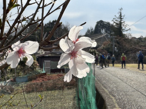 Uvyxsokdjxkamzsoxnjwujshwitvehayfsr