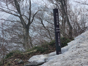 659119288_1598533428947534_41740653