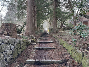 660509229_1598533565614187_85414894