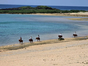 658217818_1602096258591251_15379796