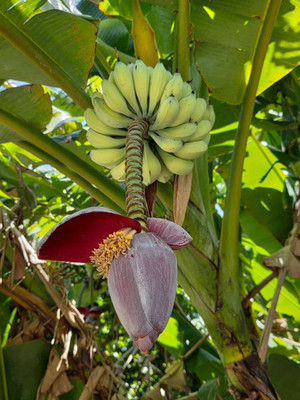 659076983_1602096261924584_22497844