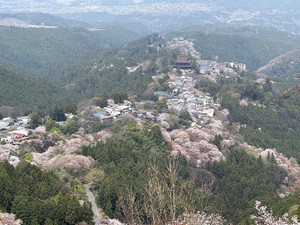 661746073_1606945238106353_83421975 661746073_1606945238106353_83421975