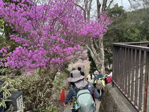 662364303_1606944934773050_58571472 662364303_1606944934773050_58571472