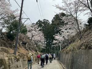 662639342_1606945208106356_67856381 662639342_1606945208106356_67856381