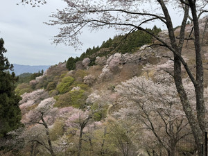 662740060_1606944751439735_11050950 662740060_1606944751439735_11050950