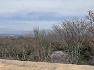 663151107_1606945444772999_87983253 663151107_1606945444772999_87983253