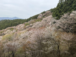 663324372_1606944894773054_48865482 663324372_1606944894773054_48865482