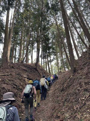 666229627_1606944948106382_53944827 666229627_1606944948106382_53944827