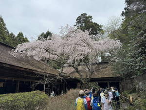 666231041_1606945614772982_35166988 666231041_1606945614772982_35166988