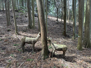 666297621_1606945511439659_67102114 666297621_1606945511439659_67102114