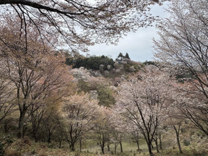 666561081_1606944724773071_50918163 666561081_1606944724773071_50918163