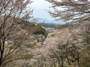 666606871_1606945518106325_40361592 666606871_1606945518106325_40361592